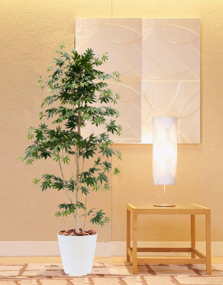 激安人気新品 緑のイロハモミジ 180cm 人工 観葉植物 造花 フェイクグリーン もみじ 紅葉 1.8m インテリア おしゃれ 室内 大型 カエデ  fucoa.cl