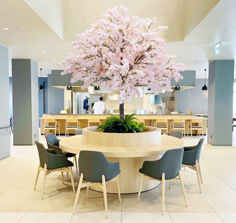 桜 写実的手当たりな木 高さ240珊 精神的な統合式 (造花 フェイクグリーン 特大 八重桜 櫻 さくら 室内装飾 春 取りわける式 人工 観葉草木 かざり付ける 見せびらかす 飾りつけ 今めかしい 室内 大型 バス発着場 事務室 記号天然木 自作 植栽 トレーダー 製造会社 より良い緑であること 一風変わった 製造会社)