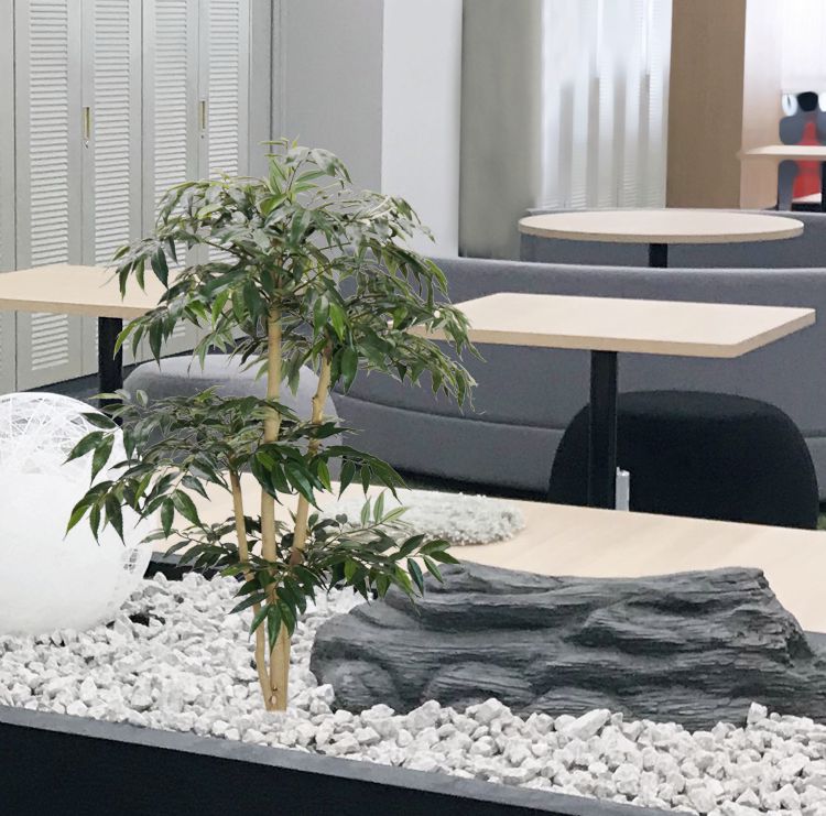シラカシ 高さ100珊 (造花 人工観葉草木 白樫 和風 ガーデニング 造園 運動場 坪庭 エクステリア バス発着場室内装飾 バス発着場かざり付ける コナラ アラカシ イチイガシ 似たり 事務室 記号天然木 自作 植栽 トレーダー 製造会社 より良い緑であること 一風変わった 製造会社)