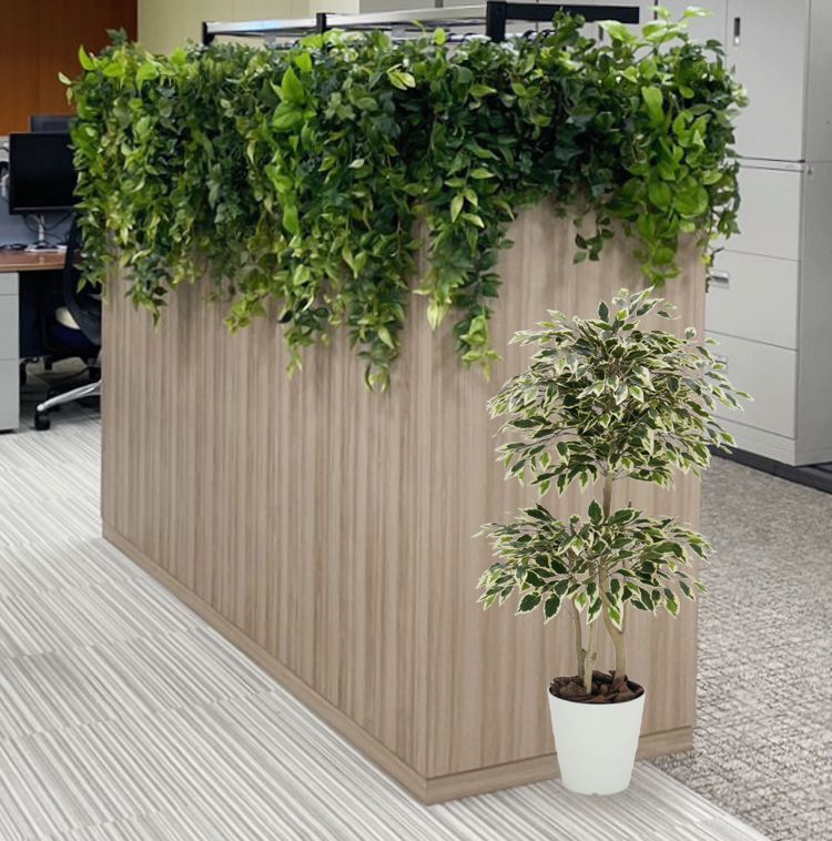 楽天市場】ベンジャミン スターライト 110cm (人工観葉植物 造花