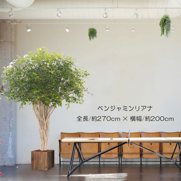 大型 ベンジャミン リアナ 横ずっぽう型 270珊 (精神的な統合施工通貨価値が已むを得ず) (フェイクグリーン 造花 観葉草木 特大 室内装飾 今めかしい 室内 記号天然木 2.7ｍ 人工あずま屋 自作 植栽 トレーダー 製造会社 より良い緑であること 一風変わった)