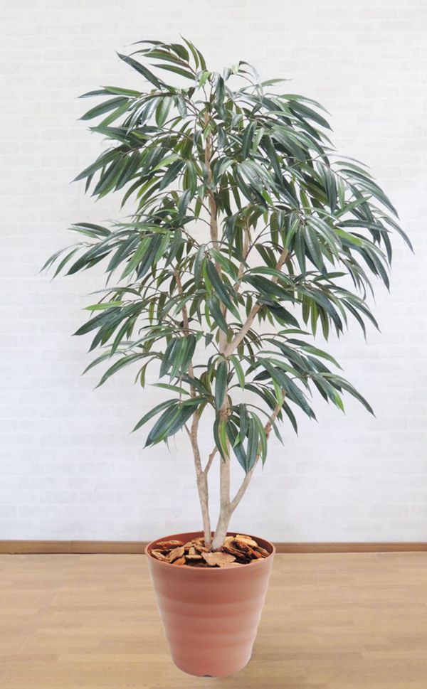 ショウナンゴムノキ 180cm(ショウナンアルステルダムキング 造花 インテリア 人工観葉植物 1.8m おしゃれ 大型 室内 フィカスイレグラリス シンボルツリー 自作 植栽 業者 メーカー ベストグリーン オリジナル 製造元 オフィス 鉢植え 虫がつかない) 42,900円
