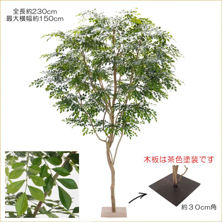 楽天市場 大きい トネリコの木 高さ230cm インテリア フェイク グリーン 大型 自然調 人工観葉植物 造花 樹木 造木 おしゃれ 室内 大型サイズ 造花観葉植物専門店ビワールデコ 楽天市場 大きい トネリコの木 高さ230cm インテリア フェイク グリーン 大型 自然調 人工観葉植物 造花 樹木 造木 おしゃれ 室内 大型サイズ 造花観葉植物専門店ビワールデコ