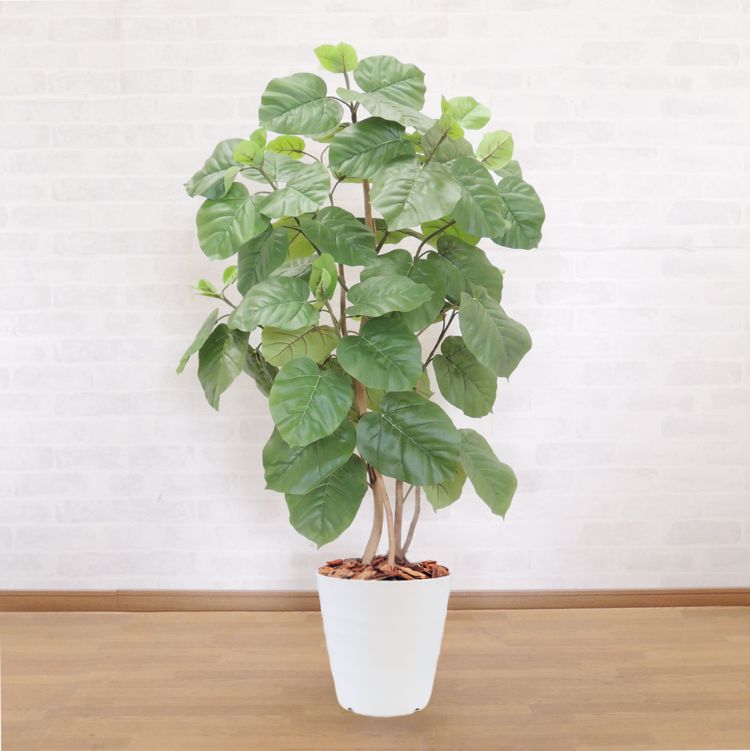 ウンベラータ株立ち150cm (造花 インテリア おしゃれ 室内 人工 観葉植物 1.5m ディスプレイ 飾り 店舗 フェイク グリーン 作り物 装飾 シンボルツリー 自作 植栽 業者 メーカー ベストグリーン オリジナル 製造元)|造花観葉植物専門店ビワールデコ