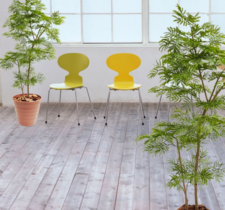 エバーフレッシュ 120cm 楽天市場】エバーフレッシュ 120cm (造花 観葉植物 インテリア