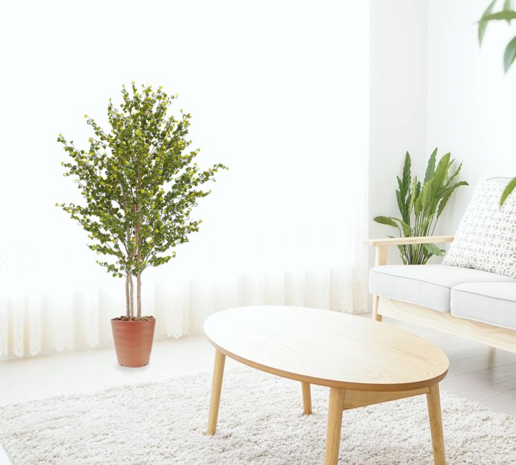 入園入学祝い ベンジャミンバロック 150cm 造花フィカス インテリア おしゃれ 室内 人工 観葉植物 装飾 ディスプレイ 作り物 フェイク グリーン プランツ Ilshospitals Com