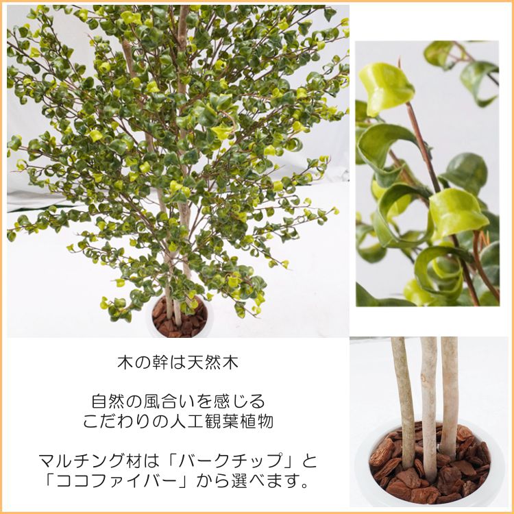 入園入学祝い ベンジャミンバロック 150cm 造花フィカス インテリア おしゃれ 室内 人工 観葉植物 装飾 ディスプレイ 作り物 フェイク グリーン プランツ Ilshospitals Com