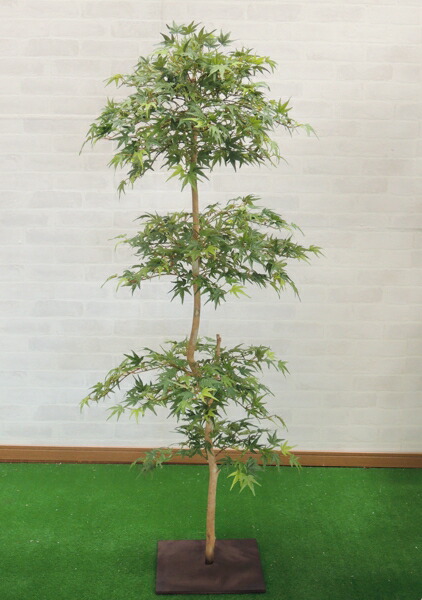 楽天市場 グリーンモミジ 150cm 造花 観葉植物 緑 和風 ガーデニング 造園 庭園 坪庭 もみじ カエデインテリア おしゃれ 室内 造花 観葉植物専門店ビワールデコ