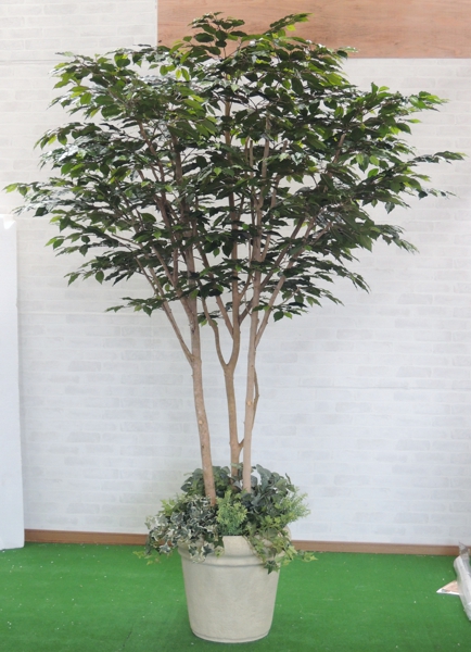 楽天市場 大型商品 ベンジャミン 組み立て式 250cm 造花 インテリア 人工観葉植物 フェイクグリーン おしゃれ 室内 樹木 店舗 装飾 造花 観葉植物専門店ビワールデコ