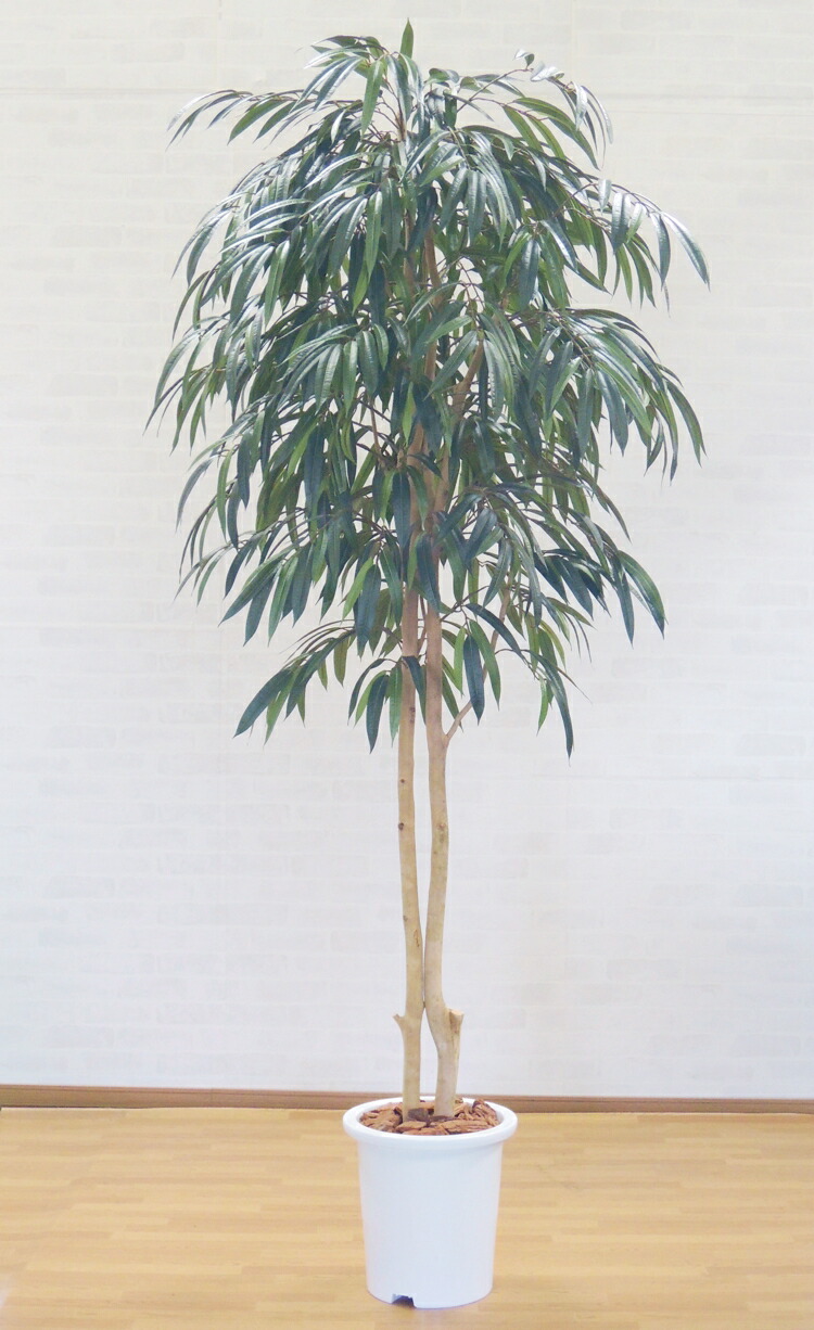 楽天市場】ショウナンゴム 180cm (フェイクグリーン 造花