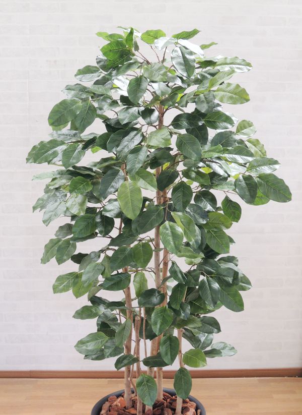 店舗内装 造花 人工観葉植物 ボダイジュ インテリア 造花 造花 大型 インテリア インテリア フェイクグリーン 観葉植物 フェイクグリーン 菩提樹 180cm 人工 店舗内装 造花 ボダイジュ 植栽 造花観葉植物専門店ビワールデコ