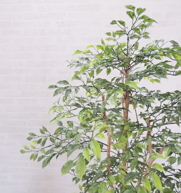 楽天市場 小さい葉っぱの木 1cm 鉢植え 造花 ミニフィカス ベンジャミン インテリア おしゃれ 室内 人工 観葉植物 装飾 ディスプレイ 作り物 フェイク グリーン プランツ 屋外使用可能 造花観葉植物専門店ビワールデコ