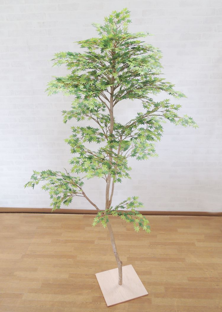 無料発送セール もみじ 観葉植物 もみじ 造花 人工観葉植物 造園 インテリア モミジ ガーデニング グリーン 造園 180cm 紅葉 紅葉 室内 室内 造花観葉植物専門店ビワールデコ造花 おしゃれ 観葉植物 和風 インテリア おしゃれ 庭園 庭園 坪庭 インテリア 無料発送セール もみじ 観葉植物 もみじ 造花 人工観葉植物 造園 インテリア モミジ ガーデニング グリーン 造園 180cm 紅葉 紅葉 室内 室内 造花観葉植物専門店ビワールデコ造花 おしゃれ 観葉植物 和風 インテリア おしゃれ 庭園 庭園 坪庭 インテリア