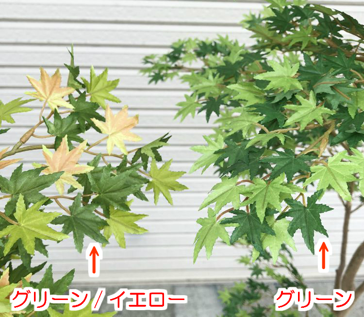 モミジ グリーン 造花 180cm 造花 造園 観葉植物 もみじ 紅葉 和風 ガーデニング 紅葉 造園 庭園 坪庭 インテリア おしゃれ 室内 造花観葉植物専門店ビワールデコ造花 観葉植物 もみじ 紅葉 和風 ガーデニング 造園 庭園 坪庭 インテリア おしゃれ 室内