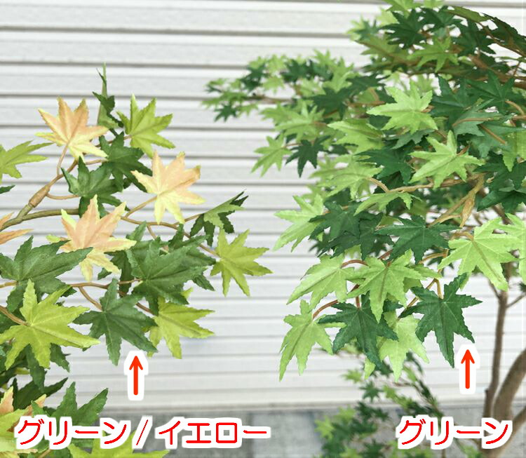 モミジ グリーン 造花 180cm 造花 造園 観葉植物 もみじ 紅葉 和風 ガーデニング 紅葉 造園 庭園 坪庭 インテリア おしゃれ 室内 造花観葉植物専門店ビワールデコ造花 観葉植物 もみじ 紅葉 和風 ガーデニング 造園 庭園 坪庭 インテリア おしゃれ 室内 モミジ グリーン 造花 180cm 造花 造園 観葉植物 もみじ 紅葉 和風 ガーデニング 紅葉 造園 庭園 坪庭 インテリア おしゃれ 室内 造花観葉植物専門店ビワールデコ造花 観葉植物 もみじ 紅葉 和風 ガーデニング 造園 庭園 坪庭 インテリア おしゃれ 室内
