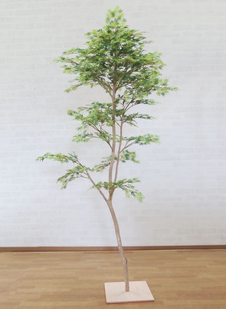 モミジ グリーン 造花 180cm 造花 造園 観葉植物 グリーン もみじ 紅葉 和風 ガーデニング 造園 庭園 坪庭 インテリア おしゃれ 室内 造花観葉植物専門店ビワールデコ造花 観葉植物 もみじ 紅葉 和風 ガーデニング 造園 庭園 坪庭 インテリア おしゃれ 室内 モミジ グリーン 造花 180cm 造花 造園 観葉植物 グリーン もみじ 紅葉 和風 ガーデニング 造園 庭園 坪庭 インテリア おしゃれ 室内 造花観葉植物専門店ビワールデコ造花 観葉植物 もみじ 紅葉 和風 ガーデニング 造園 庭園 坪庭 インテリア おしゃれ 室内