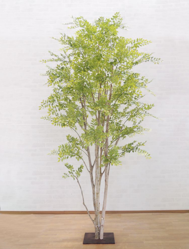 ランキング1位 造花 インテリア 室内 おしゃれ 室内 人工 観葉植物 ゴールデンリーフ フェイク 装飾 造花 人工観葉植物 トネリコの木 明るい葉 230cm 造花 インテリア フェイクグリーン おしゃれ 室内 人工 観葉植物 ゴールデンリーフ 装飾 激安アウトレット ランキング1位 造花 インテリア 室内 おしゃれ 室内 人工 観葉植物 ゴールデンリーフ フェイク 装飾 造花 人工観葉植物 トネリコの木 明るい葉 230cm 造花 インテリア フェイクグリーン おしゃれ 室内 人工 観葉植物 ゴールデンリーフ 装飾 激安アウトレット