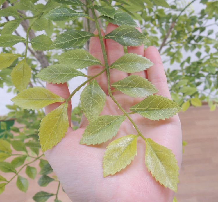 楽天市場 トネリコの木 明るい葉 230cm 造花 インテリア フェイクグリーン おしゃれ 室内 人工 観葉植物 ゴールデンリーフ 装飾 造花観葉植物専門店ビワールデコ