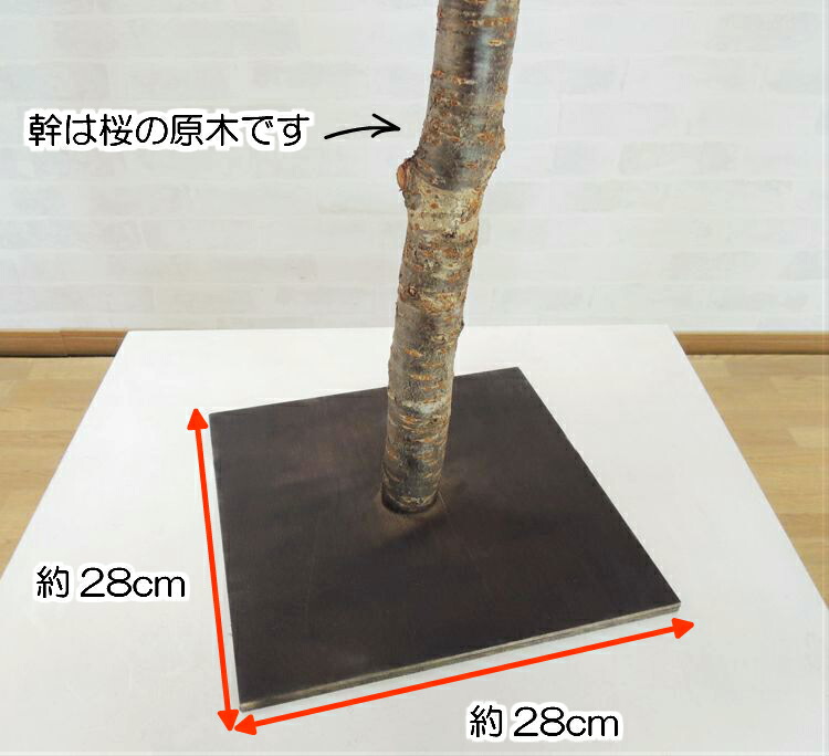 桜 室内 おしゃれ 1cm 造花 造花 サクラ ピンク 人工観葉植物 インテリア おしゃれ 室内 大型 春 飾り フェイクグリーン 作り物 樹木 造花観葉植物専門店ビワールデコ造花 桃 ピンク 人工観葉植物 インテリア おしゃれ 室内 大型 春 飾り フェイクグリーン 作り物 樹木