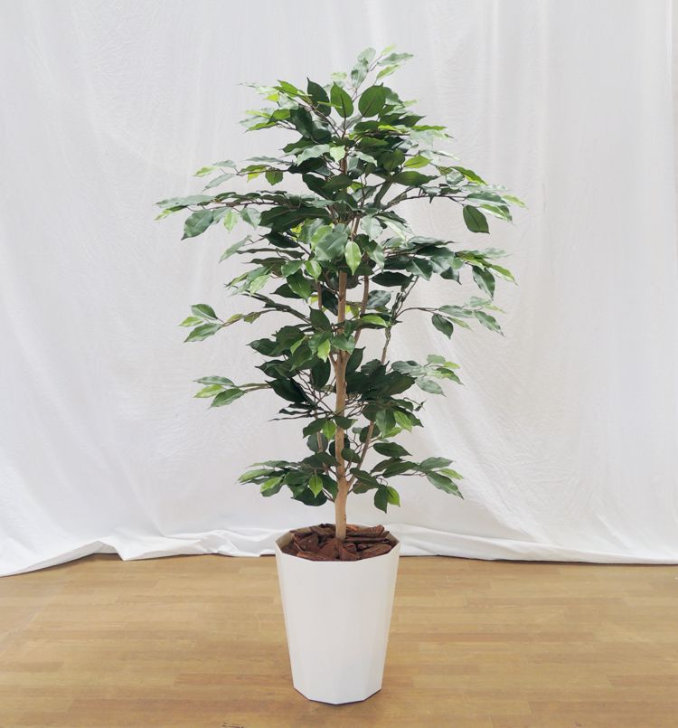 楽天市場】ベンジャミン スターライト 110cm (人工観葉植物 造花