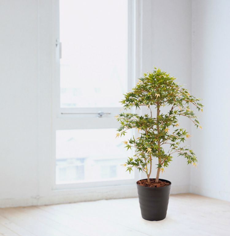 造園 造花 観葉植物 庭園 モミジ盆栽風 インテリア 庭園 造花 1cm 花 観葉植物 ガーデニング 観葉植物 造園 ガーデニング 緑 和風 観葉植物 和風 庭園 坪庭 インテリア もみじ カエデ 室内 おしゃれ 装飾 造花観葉植物専門店ビワールデコ 現金特価