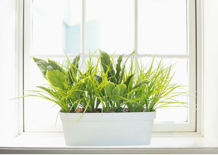 ホスタと水のみのプランター 高さ約50珊 (幅約70珊 造花 室内装飾 人工観葉草木  擬宝珠 多年草 今めかしい かざり付ける 小型 フェイクプランツ 記号天然木 自作 植栽 トレーダー 製造会社 より良い緑であること 一風変わった 製造会社)