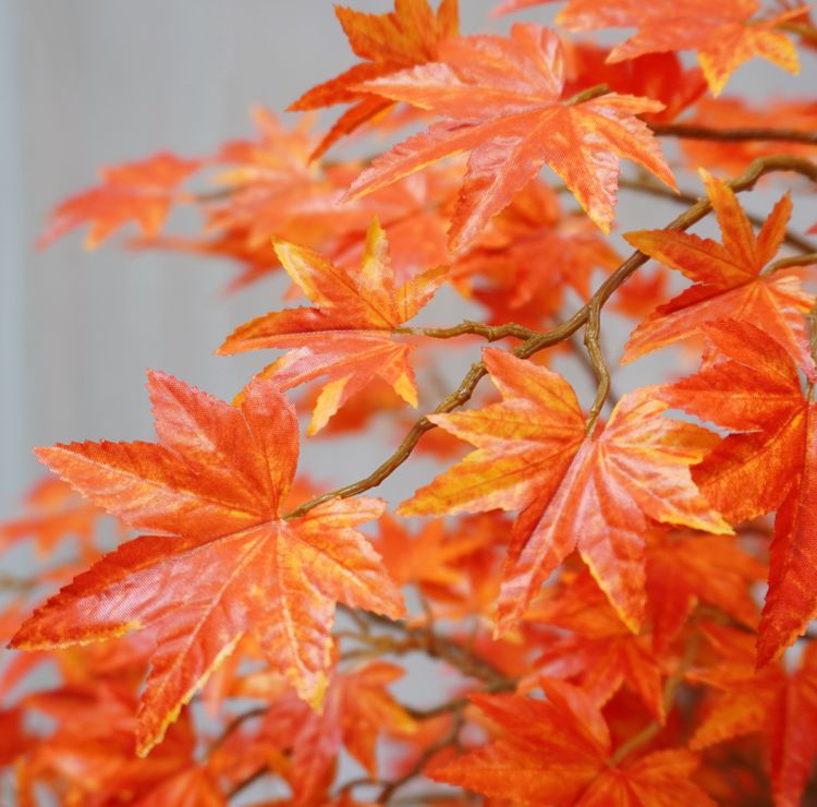 モミジ オレンジレッド 100cm 造花 人工観葉植物 秋 紅葉 和風 ガーデニング 造園 庭園 坪庭 インテリア もみじ カエデ 販売 おしゃれ 室内 植栽 Rvcconst Com