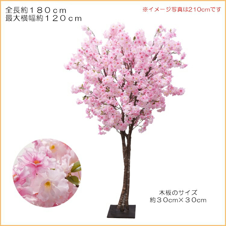 さくらの木 180糎 (フェイクグリーン 造花 桜 桜 サクラ色 人工観葉草木 室内装飾 今めかしい 室内 大型 春 飾りつけ 見せびらかす 似たり 造木 製造会社 製造会社)