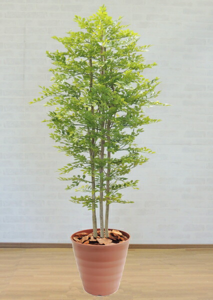 100％の保証 トネリコ 明るい葉 180cm 造花 インテリア おしゃれ 室内 人工 観葉植物 大型