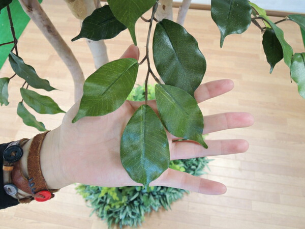 大型サイズ ベンジャミン 立ち木 高さ250cm 装飾付き 植栽 フェイク グリーン 人工観葉植物 造花 新しく着き 樹木 造木 おしゃれ 新品激安特価 室内 装飾付き 植栽 インテリア 造花観葉植物専門店ビワールデコ 造花 インテリア 高さ250cm 観葉植物 人工樹木 大型 大型