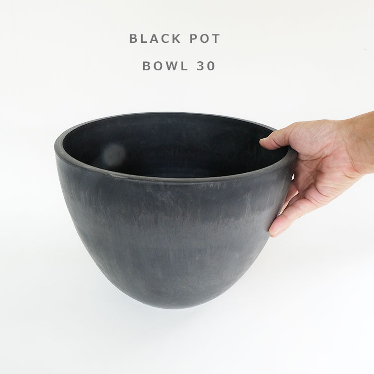 黒プラ鉢 ブラックポット Bowl 30 サボテン 頑丈 おしゃれ 塊根植物 多肉 黒プラスチック鉢 ヘルメット コーデックス Educaps Com Br