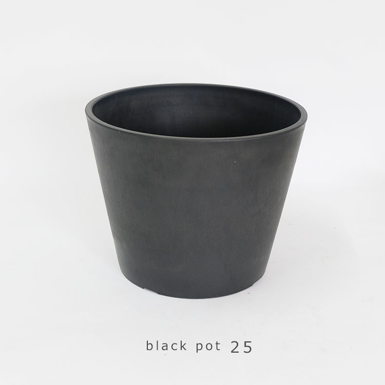 楽天市場 黒プラ鉢 ブラックポット 25 サボテン 頑丈 おしゃれ 塊根植物 多肉 黒プラスチック鉢 コーデックス ガーデニング日和