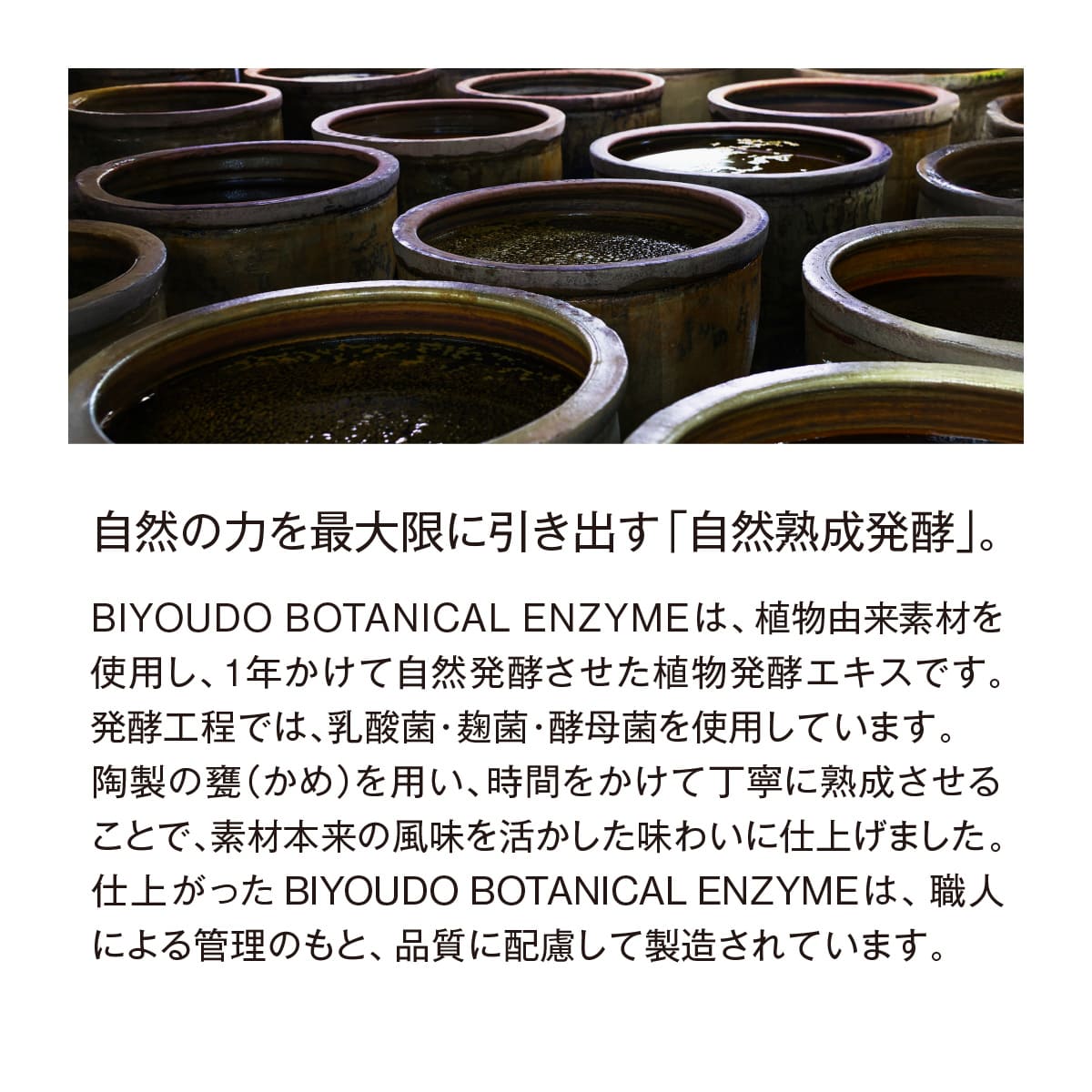 新商品・日本成人病予防協会推奨品】BIYOUDO 酵素ドリンク BOTANICAL