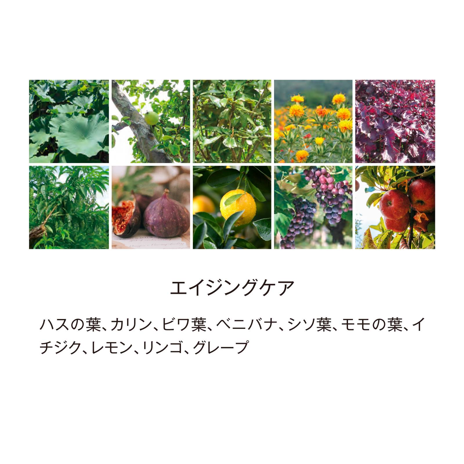 新商品】 酵素ドリンク BIYOUDO BOTANICAL ENZYME 720ml 日本