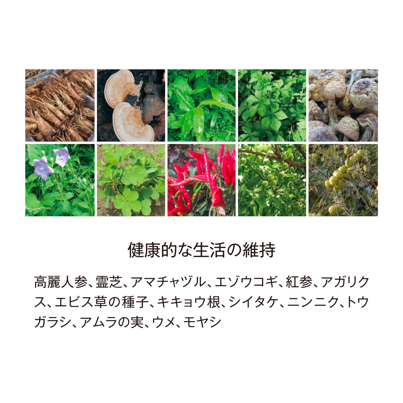 更年期婦人用酵素ドリンク14,040円分未開封 楽天市場】越後酵素 蓬緑 よもぎみどり 720ml 1本 越後薬草