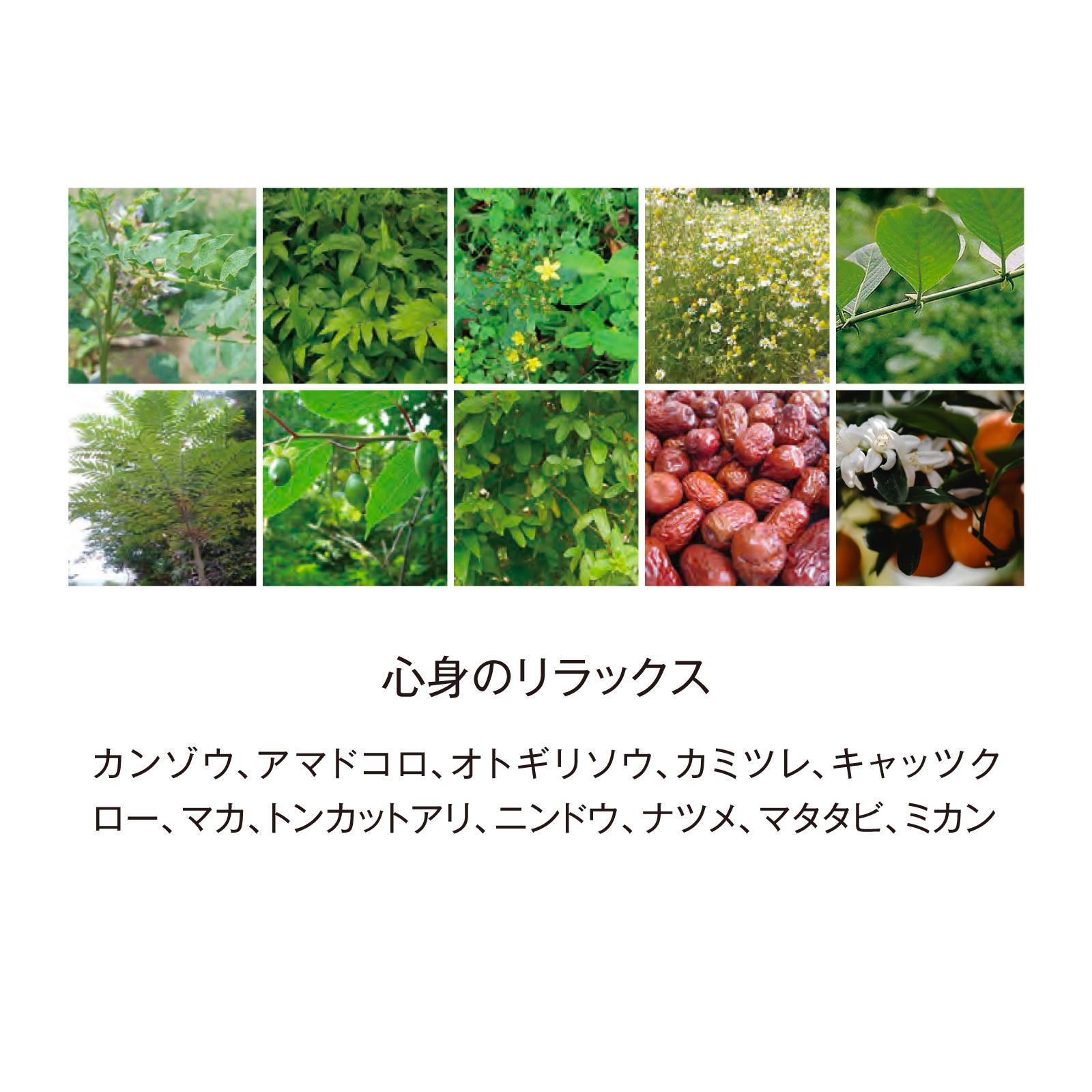 酵素ドリンク BIYOUDO BOTANICAL ENZYME 720ml 日本成人病予防協会推奨