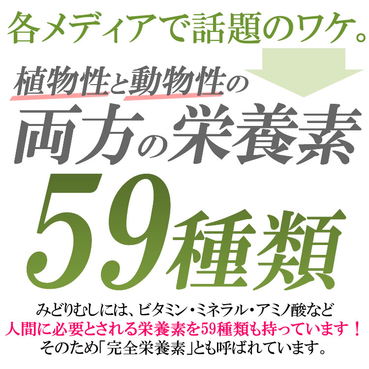 人気デザイナー バイオザイム ユーグレナ ミドリムシ サプリメント ローヤルゼリー コンドロイチン ビール酵母 100粒入り 15個セット  whitesforracialequity.org