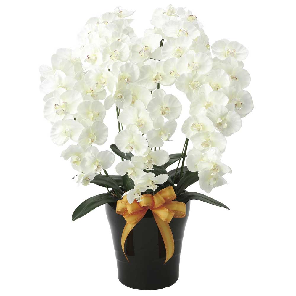 楽天市場 造花アート 胡蝶蘭 プレミアム胡蝶蘭5本立w開店祝い 開業祝い 就任祝い 退職祝い 誕生日 結婚祝い 出産祝い 還暦祝い 贈り物 フラワーギフト プレゼント お祝い お花 アーティフィシャルフラワー 送料無料 メッセージカード無料 光触媒 人工植物 抗菌 消臭 防
