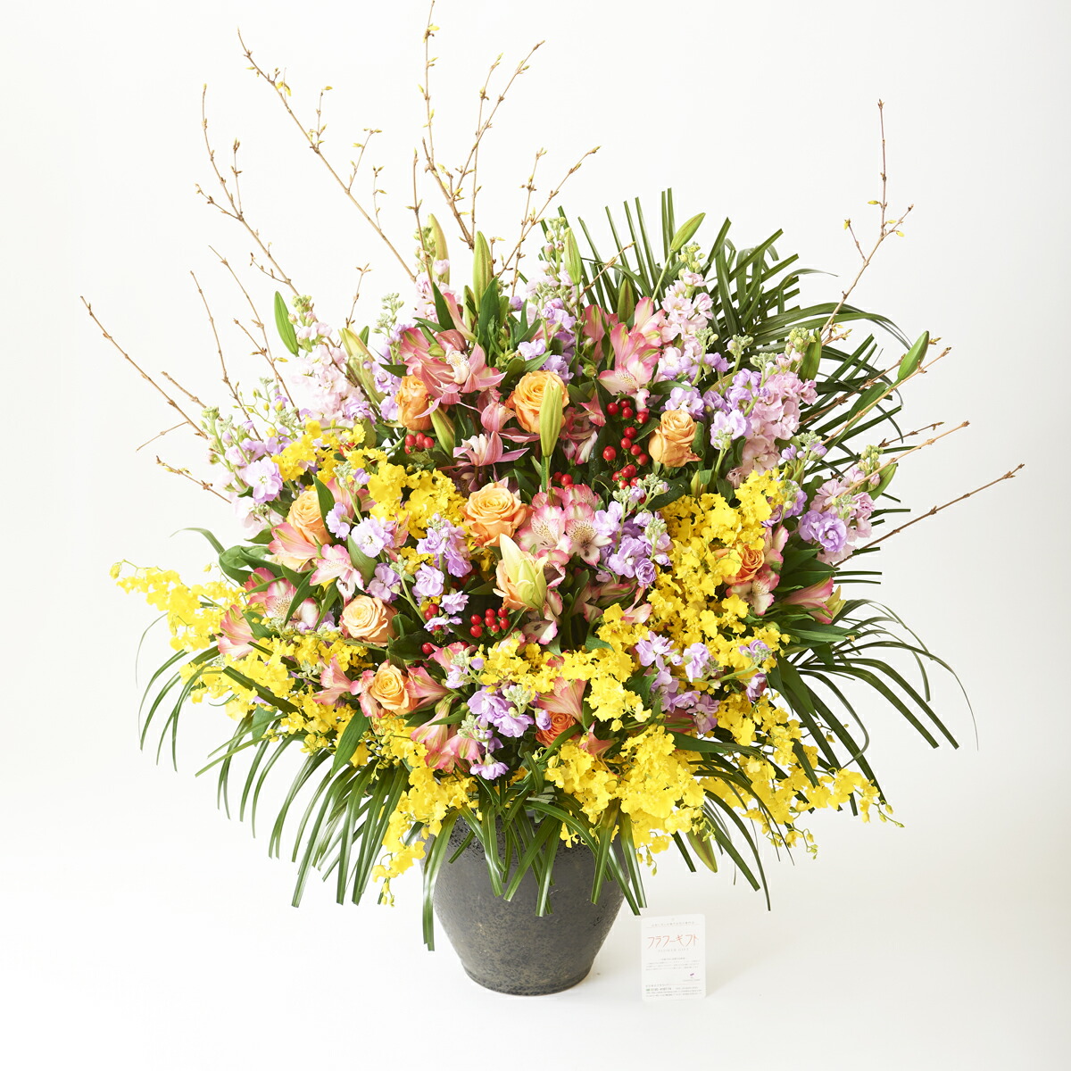 最大95 オフ 壺花 Mサイズ卒業祝い 入学祝い 入社祝い 就職祝い 就任祝い 退職祝い 当日配送 贈り物 フラワーギフト プレゼント お祝い お花 送料無料 メッセージカード無料 あす楽 Pe03 Gr