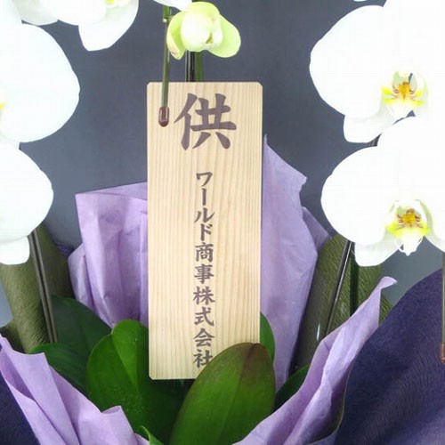 お悔やみ電報無料 弔電付きお供え花 供花 フューネラル胡蝶蘭 5本立 3万円コース初七日 四十九日 お盆 お彼岸 周忌 周年 枕花 後飾り 遺影 法事 法要 お悔やみ お供え花 胡蝶蘭 贈り物 フラワーギフト お花 供花 送料無料 メッセージカード無料 あす楽 Lojascarrossel お悔やみ電報無料 弔電付きお供え花 供花 フューネラル胡蝶蘭 5本立 3万円コース初七日 四十九日 お盆 お彼岸 周忌 周年 枕花 後飾り 遺影 法事 法要 お悔やみ お供え花 胡蝶蘭 贈り物 フラワーギフト お花 供花 送料無料 メッセージカード無料 あす楽 Lojascarrossel