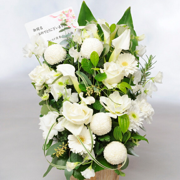 【電報（祝電）とお花を一緒にお届け】アレンジメントフラワー　G&W　Basket（グリーン・白系） 歓迎祝い 退職祝い 昇進祝い 歓迎会 送別会 歓送迎会 人事異動 贈り物 フラワーギフト プレゼント お祝い お花 送料無料 メッセージカード無料