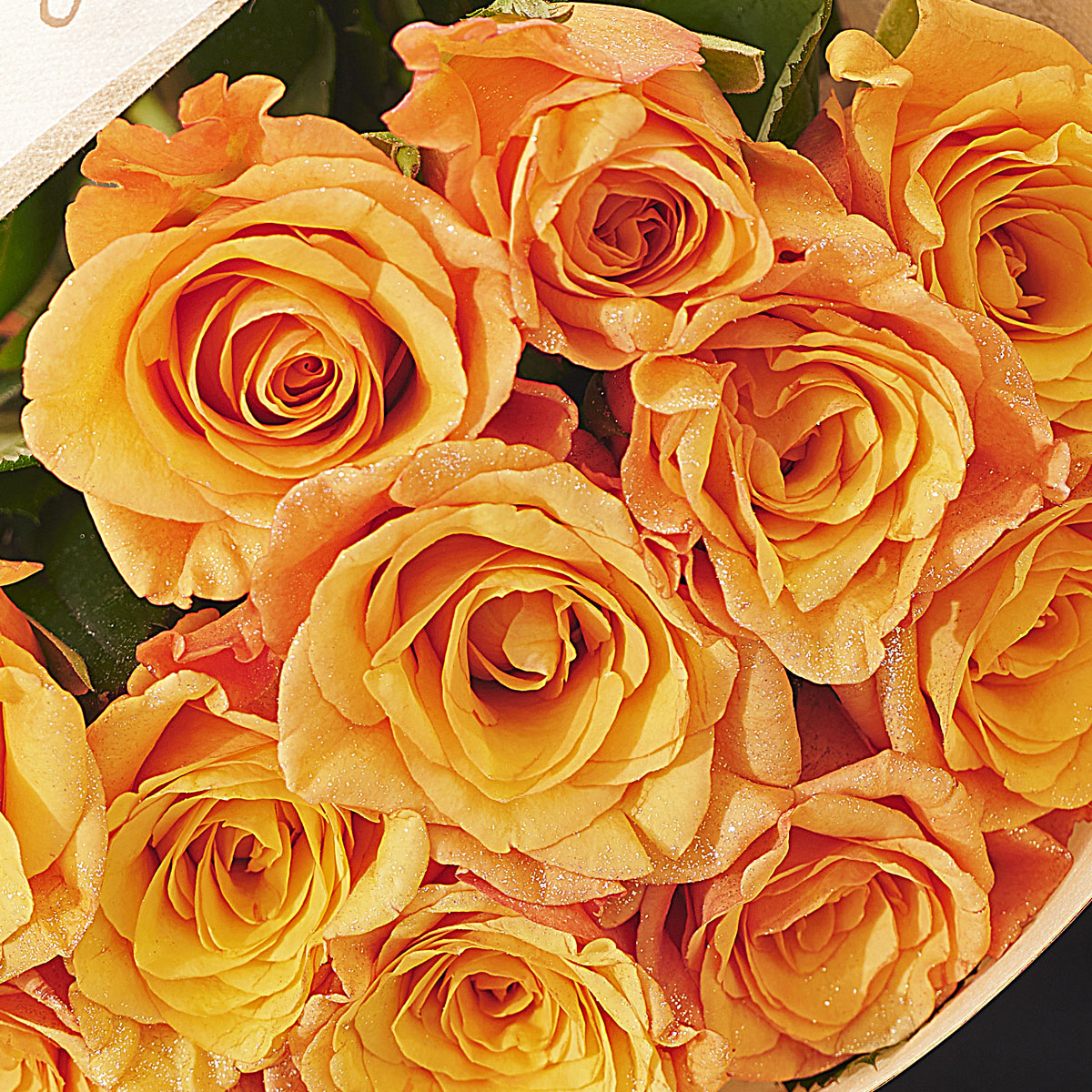 送料無料 花束 ブーケ シルバーラメ仕様 ダイヤモンド オレンジバラ12本薔薇 国産 お祝い お花 生花 フラワーギフト 贈答 プレゼント 贈り物 全国配送 メッセージカード無料 送料無料 楽ギフ あす楽 Institutoipef Org