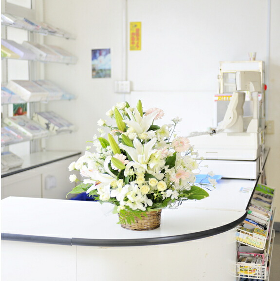[大人気 在庫あり ] MO415PGW89E (MO415PGW89E)