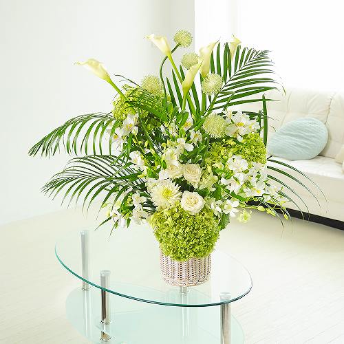 デザイナーズ御花M大きさ A tall white 3万円教科課程【電文（祝電）と祝花が仕掛けるになった御花差し上げ物】卒祝賀会 はいり込む祝賀会 入社祝賀会 就職祝賀会 着任祝賀会 引退祝賀会 差し上げ物 御花差し上げ物 差し上げ物 御祭り お花 貨物輸送無料 申したて歌留多無料
