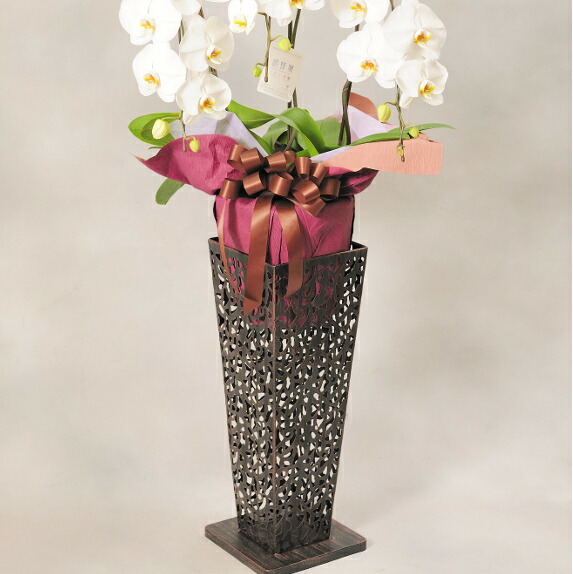 配送地域限定 当日配送 スタンド花 胡蝶蘭 ロースタンド ブリキ型 3万円コース 設置 回収 名札無料 結婚祝い 婚約祝い ブライダル ウェディング 披露宴 贈り物 フラワーギフト プレゼント お祝い お花 送料無料 フラワースタンド あす楽 Prescriptionpillsonline Is