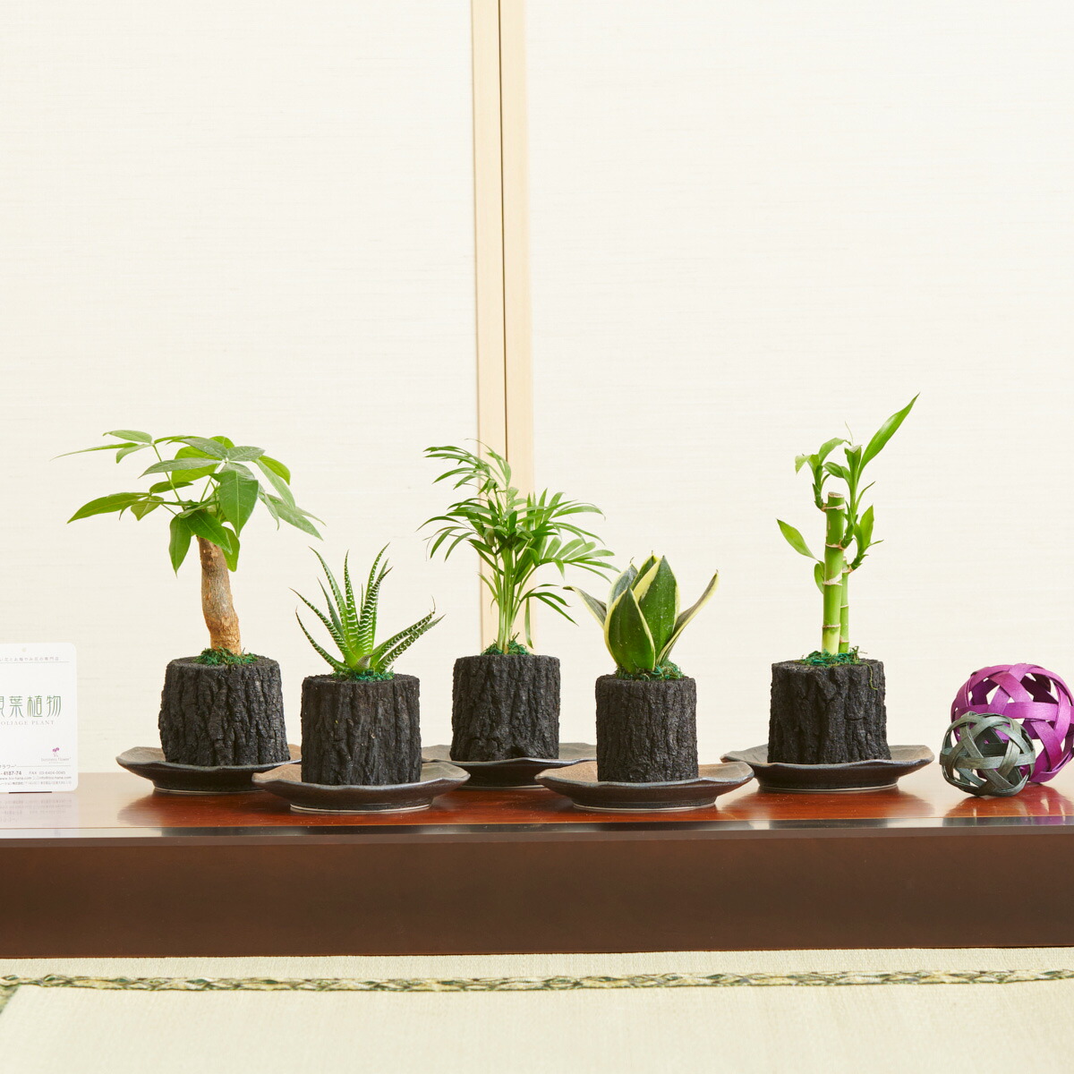 楽天市場】炭インテリア 穴あき炭 炭の鉢 ポット 炭鉢 菊炭 炭花壇 消