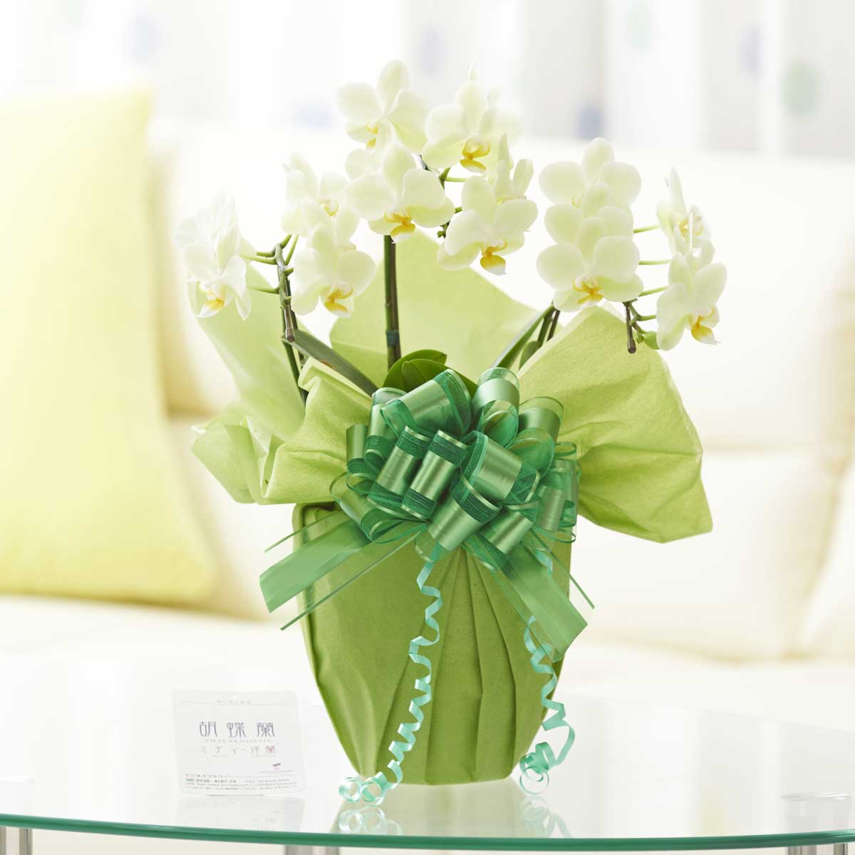 誕生日プレゼント結婚バースデー誕生3本立 21輪以上 胡蝶蘭黄色のミニ胡蝶蘭 ミディサイズ は開店祝いや誕生日のプレゼントにお薦めの華やかさ長寿還暦楽ギフ 花 ガーデン Diy ウェディング胡蝶蘭ミディ 黄 喜寿出産退職古希