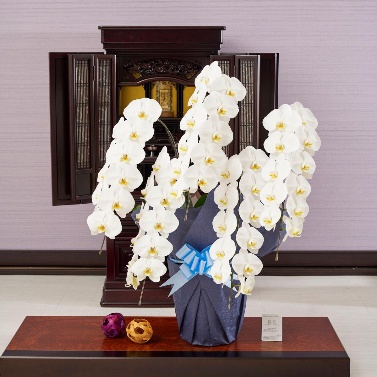 <ご自宅専用>フューネラル胡蝶蘭5本立(白) 2.5万円コース規格(50~55輪程度)お悔やみ お供え花 胡蝶蘭 贈り物 フラワーギフト お花 供花 送料無料 木札無料 メッセージカード無料 ラッピング無料 |花ギフトの通販サイト hana