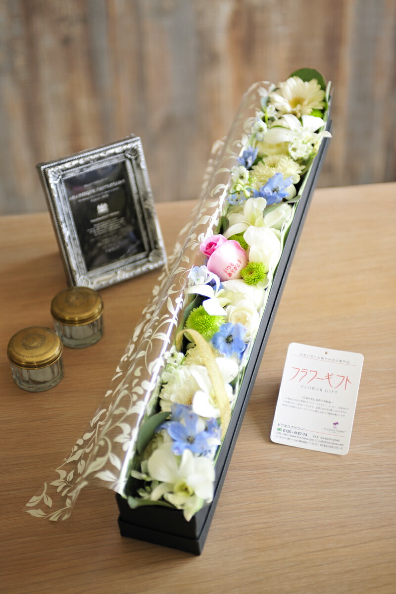 式辞玄関 桜色box レクタングル 白み薔薇 皇室献上実績のバラ栽培所から宅配直送婚儀御祭 入籍祝い 結婚周年祝い 縁結び マリッジ 婚約 御目出度 付け届け お御花到来物 進上 祝い事 お花 送料無料 メッセージメッセージカード無料 あす軽易 Hotjobsafrica Org