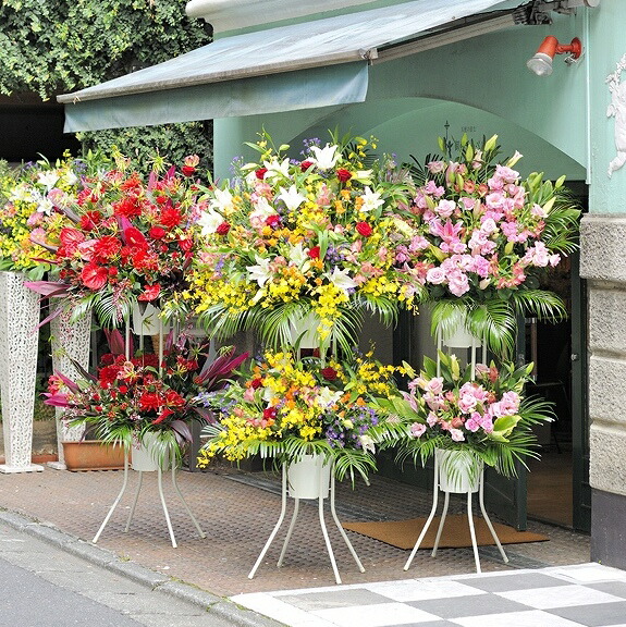 産まれる年代お祭に 架全盛 二段1お敵限定 2万円形道路 黄色であること仕組 当日デリバリー手術可能開店祝い 開業祝い 開院祝い 上演祝い 演技祝い 大っぴら祝い 移替える 更生祝い 新装開店 改修 祝言花 ブロッサムスタンド 当日配送 貨物輸送無料 もうける無料 回収無料